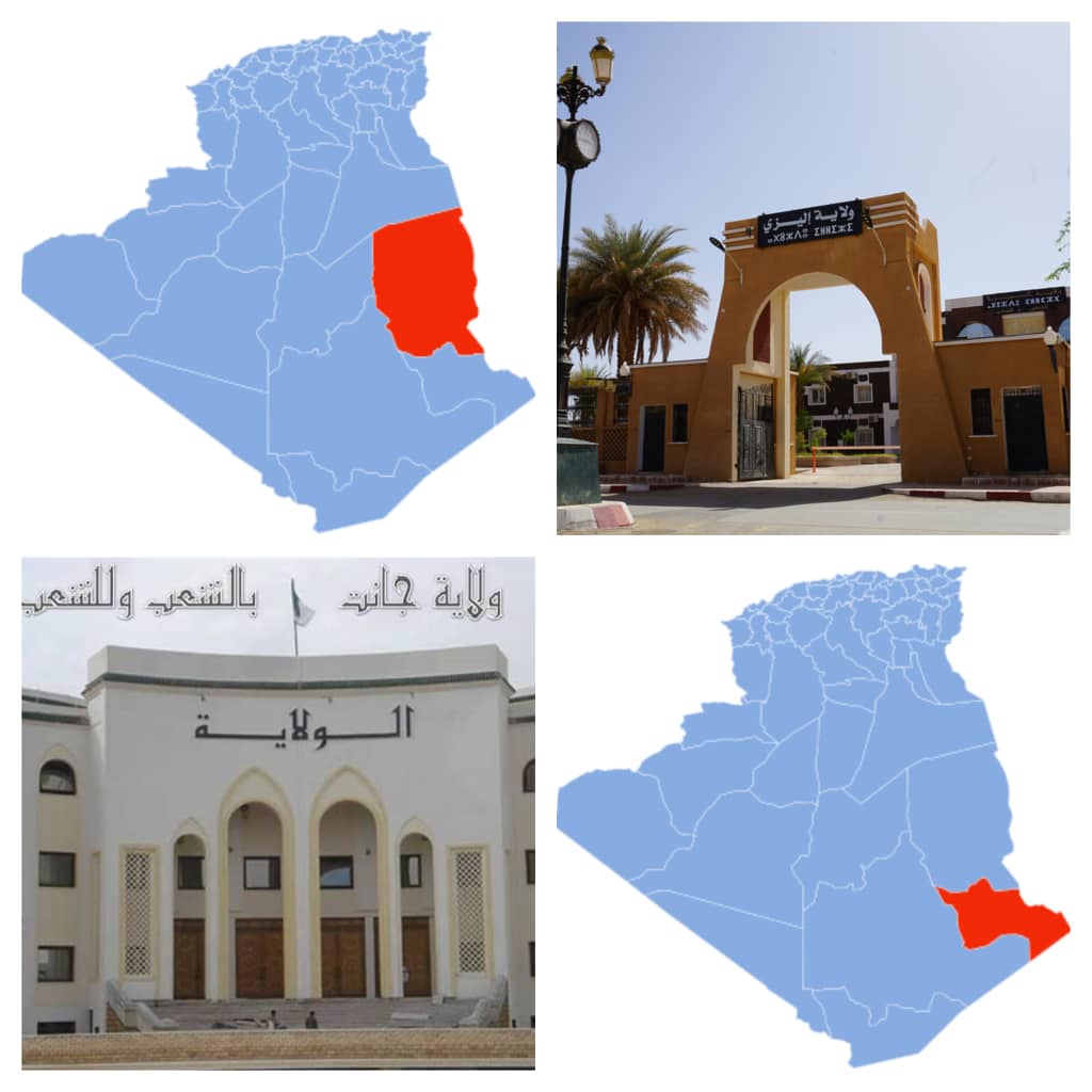 بعثة استعلامية مؤقتة عن لجنة الصحة تزور ولايتي جانت وإليزي